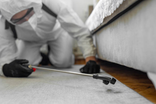 Professional Bed Bug Control technician working in Des Allemands, LA