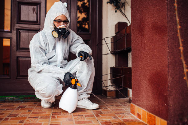 Reliable Bed Bug Control contractor in Des Allemands, LA by Nex Pest Control