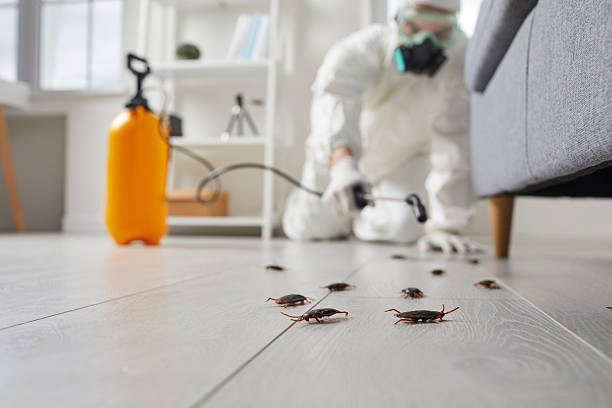 Trusted Rodent Control service in Des Allemands, LA - Nex Pest Control