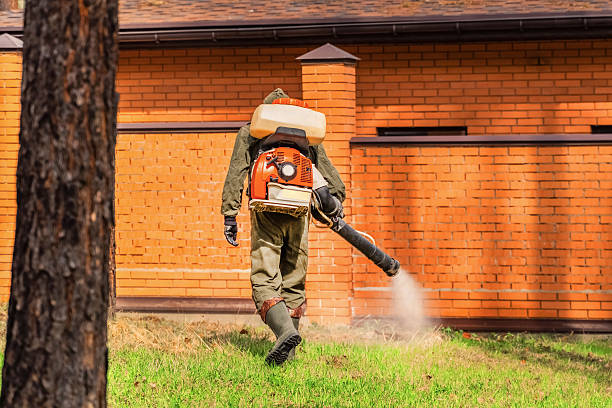 Trusted Cockroach Control service in Des Allemands, LA - Nex Pest Control